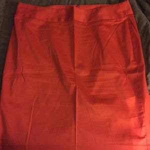 Lane Bryant Skirt
